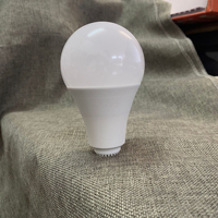 Ampoules LED de remplacement SKD en plastique A19, culot E27, blanc, télécommandées, dimmables, certifiées Energy Star, garantie 5 ans