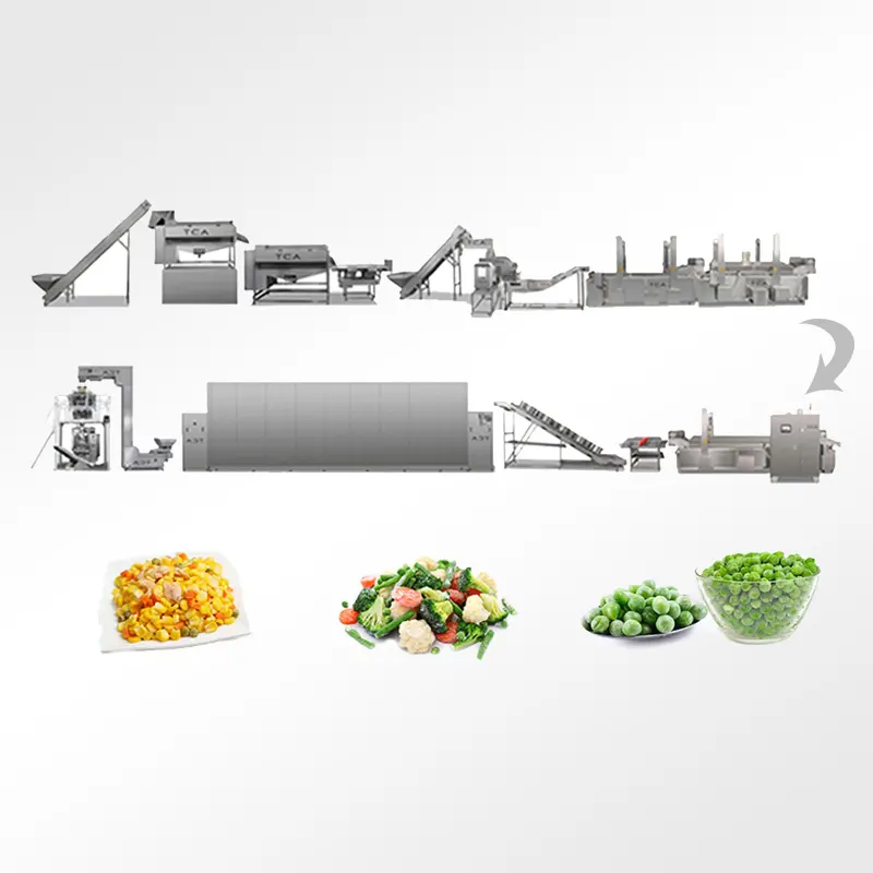 TCA SUS304 fries carrot onion green beans peas frozen processing line frozen vegetables and fruits line