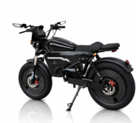 Vélo électrique urbain OWAY SK-1, pneus larges, longue autonomie, haute vitesse, style rétro, vélo électrique pour adultes