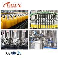 Machine de remplissage de jus entièrement automatique pour usine d'embouteillage de jus de fruits 1000-5000BPH Bouteille en verre Haute efficacité Certifiée CE