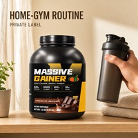 Poudre de prise de masse OEM ODM, complément nutritionnel sportif hypercalorique, saveur personnalisée pour les passionnés de fitness, 500g