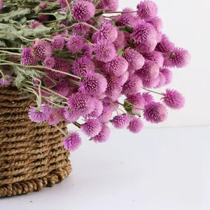 Ramo de Flores Secas Naturales al Por Mayor, Gomphrena, Plantas Secas, Flores Preservadas - Product Image 6