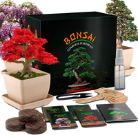 Kit de culture de bonsaï Prix d'origine Mini Bonsaï Outils Nutrition Personnalisation