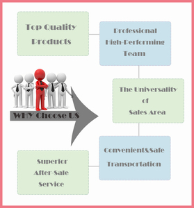 รสชาติฮอว์ธอร์นธรรมชาติแท้สำหรับขนมผลไม้และบาร์ - Product Image 5