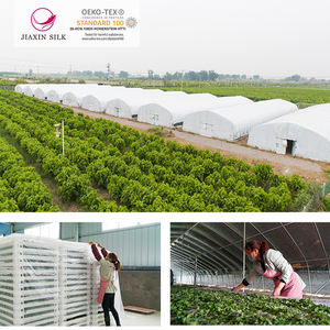 맞춤형 OEM 공장 고품질 실크 이불 내부 흰색 실크 이불 코어 실크 채워진 이불 - Product Image 6