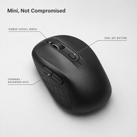 Mouse Ergonomis Nirkabel Mini USB Type-C Optik Portabel Grosir OEM ODM untuk Rumah Kantor Desktop Laptop Komputer PC