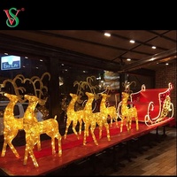 Noël blanc de décoration extérieure commerciale de rue de jardin a mené la lumière de chariot de cheval