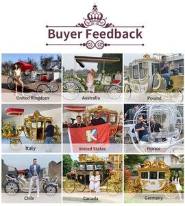Chariot de mariage électrique à chevaux, chariot européen à chevaux, calèche de tourisme à chevaux, chariot de chevaux électrique pour mariages - Product Image 6
