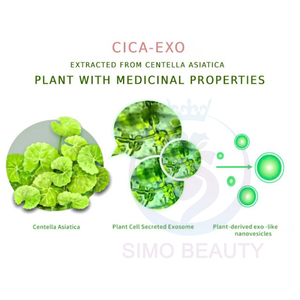 Solución Calmante con PDRN, Suero Antienvejecimiento con Péptidos, Producto <span class=keywords><strong>de</strong></span> <span class=keywords><strong>Belleza</strong></span> <span class=keywords><strong>al</strong></span> <span class=keywords><strong>por</strong></span> <span class=keywords><strong>Mayor</strong></span> para un Tono <span class=keywords><strong>de</strong></span> Piel Uniforme - Product Image 4