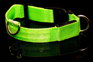 Lichtgevende hondenhalsband, USB oplaadbare hondenhalsband, gaashalsband, <span class=keywords><strong>LED</strong></span> lichtgevende hondenhalsband - Product Image 2