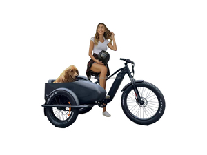 Usine directe unique 1 roue gros pneu 20*4.0 pneus <span class=keywords><strong>remorque</strong></span> <span class=keywords><strong>pour</strong></span> E vélo ATV vélo électrique moto pliant Cargo ferme <span class=keywords><strong>remorque</strong></span> - Product Image 5