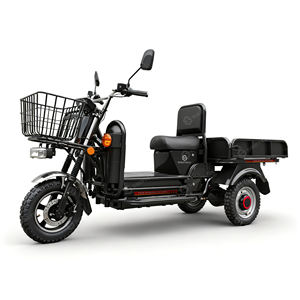Tricycle électrique SIGOTECH OEM à forte charge, 35 km/h, 1500 W, tricycle électrique robuste à trois roues avec une grande capacité de charge - Product Image 3