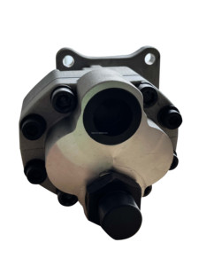 משאבת גלגלי שיניים בעלת תזוזה קבועה עם כושר הרמה של 3 טון, משאבה הידראולית לעגורן - Product Image 5