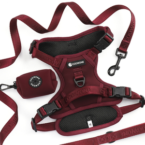 Conjunto de Arnés para Perro Antitirones con Logotipo Jacquard Personalizado, Collar Ajustable, Correa y Bolsa de Cintura para Premios - Product Image 2