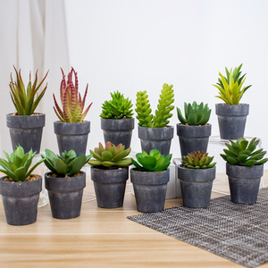 <span class=keywords><strong>Pas</strong></span> cher en gros mini <span class=keywords><strong>cactus</strong></span> extérieur assortiment d'intérieur arrangement artificielle plantes succulentes en pot ensemble - Product Image 5