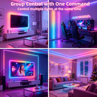 Bande lumineuse LED infrarouge RGBW à intensité variable avec Bluetooth, télécommande IR DC5V 1M pour la maison et la télévision