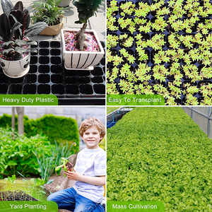 Bandeja de plántulas de vivero de propagación hidropónica de plantas de jardín de plástico de 50 72 128 celdas - Product Image 4
