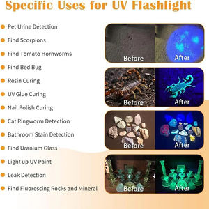Détecteur d'urine de poche pour animaux de compagnie et colle UV durcissant 365nm LED lumière noire lampe de poche extérieure miroir noir Ultra violet lampes torches - Product Image 5
