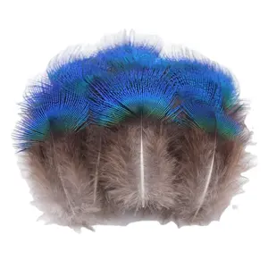DIY el sanatları moda aksesuar 100 adet 4-8CM doğal küçük boyutlu mavi tavuskuşu tüyleri sülün tüyleri