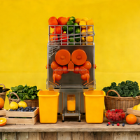 LingJing RVS Koude Pers Calamansi Citroen Sinaasappel Citrus Sap Commerciële Sapcentrifuge voor Restaurantgebruik