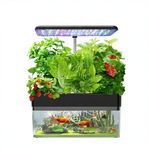 DaringFish Fishtank3 Sistema de Cultivo Hidropónico Interior para el Hogar con Luz LED de Cultivo, Pecera y Cultura Inteligente de Peces - Product Image 1