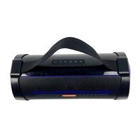 Haut-parleur de karaoké portable rechargeable double 4,5 pouces avec LED RVB 30W pour fêtes en extérieur