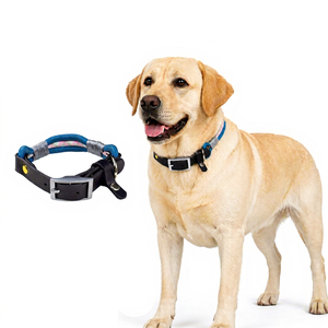 Conjunto de Collar de Cuero y Correa de Nailon a la Moda para Perros Pequeños - Product Image 1
