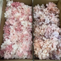 100g de pétales d'hortensia séchés longue durée, naturels, préservés, en bois, pour Noël et le Nouvel An chinois