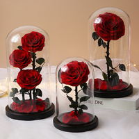OFFRE DE PRIX SPÉCIAL Rose Naturelle Fête des Mères Cadeau Décor Éternel Éternel Rose Fleur Préservée dans un Dôme en Verre Led