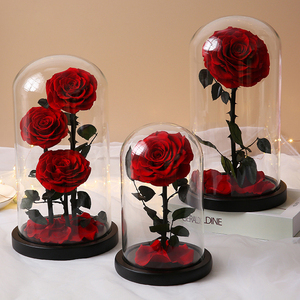 OFERTA DE <span class=keywords><strong>PRECIO</strong></span> ESPECIAL Rosa natural Regalo del Día de la madre Decoración Everlasting Forever Eternal Rose Flor preservada en cúpula de vidrio Led - Product Image 1