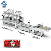 SKILT High-Speed Fruit Clamshell Top Surface Labeling Machine met meerdere invoerkanaalindelingen en automatische stapel- en verzamelapparaat