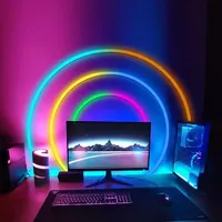 Fabricant Vente en Gros Lumières LED Néon RGBIC Étanche Flexible Doux Bande pour Mur de Chambre