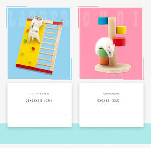 Petit hamster <span class=keywords><strong>labyrinthe</strong></span> maison en bois maison toboggan amusant cabane à deux étages pour gerbille naine <span class=keywords><strong>souris</strong></span> <span class=keywords><strong>souris</strong></span> Rat petits animaux - Product Image 4