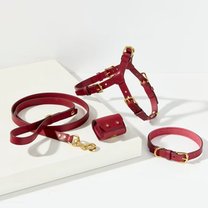 Heißer Verkauf: Multifunktionale Hundeleine mit Halsband und Tasche, verstellbar, würgefrei, ausbruchsicher – Geschirr für mittelgroße oder große Hunde - Product Image 1