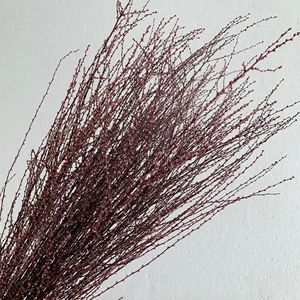 Cành Cây Liễu Tuyết Trắng Bảo Quản Cắm Hoa Nhân Tạo Cành Cây Liễu - Product Image 2