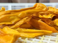 Natuurlijk zoete gevriesdroogde mangoschijfjes OEM ondersteund door Chinese fabrikant groothandel bulk verpakking vacuüm verpakt