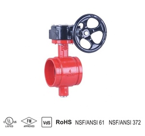 Chữa Cháy Van Bướm Có Rãnh Kết Thúc Với Công Tắc Giả Mạo - Product Image 2