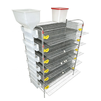 Cage à batterie professionnelle en H pour cailles pondeuses avec contrôle automatique de la température et ventilation
