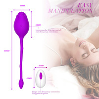 Vibrateur rose à télécommande sans fil, 12 modes de vibration, jouet pour adultes en silicone portable pour femmes, couples, masseur personnel