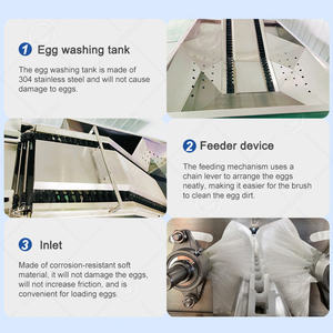 Limpiador de huevos sucios industriales OCEAN, línea de lavado de huevos, máquina clasificadora de secado de huevos de ganso de acero inoxidable - Product Image 5