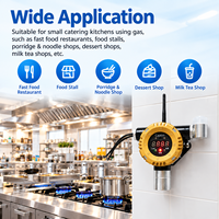Détecteur de gaz combustible industriel et commercial 4G IoT CAATM CA228-D(N) GTYQ-CA228-D, capteur d'alarme de fuite de méthane, propane, GPL