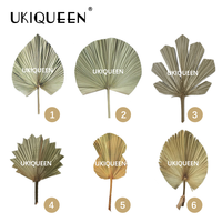 Tanaman Daun Palem Stabil, Daun Palem Kering, Daun Palem yang Diawetkan, Berwarna-warni, untuk Dekorasi Rumah