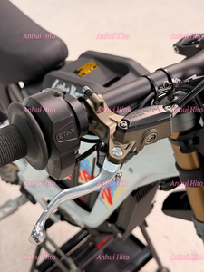 มอเตอร์ไซค์ไฟฟ้าวิบาก รุ่น Light <span class=keywords><strong>Bee</strong></span> X ปี 2026 ใหม่ 10KW 72V35Ah ยางใหญ่ พลังแรงพิเศษ สำหรับขับขี่ออฟโรด - Product Image 4