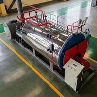 Chaudière à vapeur horizontale industrielle automatique au gaz et au mazout WNS 2t/h 1,25 MPa pour la fabrication textile