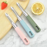 Draagbare handmatige roestvrijstalen groenteschiller met antislip kunststof handvat, lichtgewicht, roestbestendig keukenhulpje voor fruit