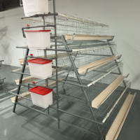 Système de cages en batterie de type A robustes pour poulets pondeurs, pour l'élevage commercial de poulets pondeurs et la production d'œufs en ferme