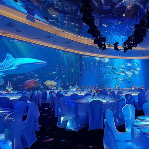 Sıcak satmak 3D holografik projeksiyon sürükleyici interaktif restoran projektör etkileşim duvar masa kapalı sergi salonu - Product Image 6