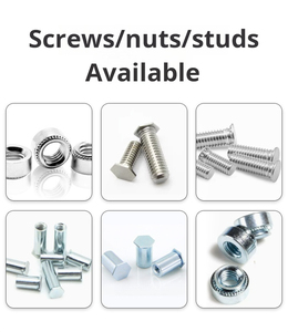 เครื่องหมุดย้ำอัตโนมัติไฮดรอลิกหมุดย้ำอัตโนมัติและตาบอดเครื่องมือน็อตสกรูเครื่องยึดปุ่มหมุดย้ำอัตโนมัติ - Product Image 4