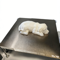Service d'impression 3D pour chiens, prototype rapide CNC de haute qualité, nylon ABS, tolérance de 0,01-0,05 mm, rugosité de surface de 10 m, solution tout-en-un