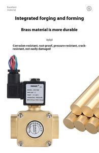 سلسلة عالية الجودة من نوعين الطيارين في اتجاهين نوع تجريبي مغلق عادة نوع الحجاب الحاجز اللولبي شريط runbrunbrass صمام الملف اللولبي - Product Image 2